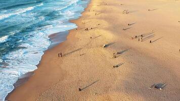 solnedgång på de strand praia grande, portugal. skön solnedgång på de portugisiska strand praia grande, i portugal. video