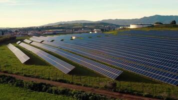 aéreo ver de solar paneles estar en un fila en el campos. video