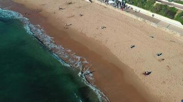 aéreo ver de ola en el playa con arena y turquesa olas video