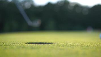 golf ball on the green - putting on a golf course stock video