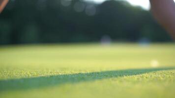 golf palla su il verde - mettendo su un' golf corso azione video