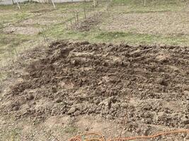 Soil processed by a plow in spring photo