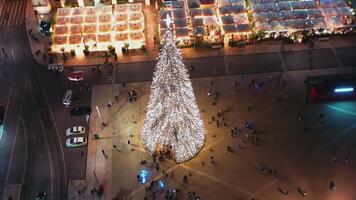 antenne visie Aan verlichte Kerstmis boom in Lissabon Aan handel vierkant, video