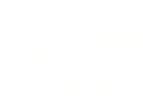 feestelijke kattenkrijttekening png