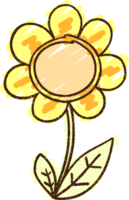 Sunflower Chalk Drawing png