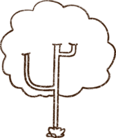 disegno a carboncino dell'albero png