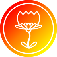 lotus flower circular in hot gradient spectrum png