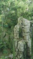 une majestueux Roche formation permanent grand dans le cœur de un australien forêt video