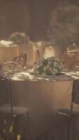 Calm restaurant setting with a natural backdrop video