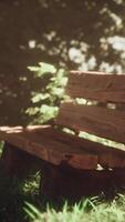 An old bench standing under an old tree in a park. video