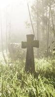 rustic stone cross amidst lush foliage video