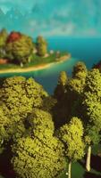 paysage de forêt verte de dessin animé avec arbres et lac video