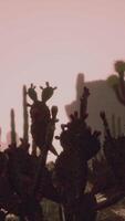 raggio di sole che spara attraverso il cielo del deserto al tramonto video