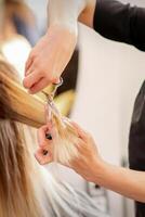 corte hembra rubia cabello. peluquero cortes pelo de un joven caucásico mujer en un belleza salón cerca arriba. foto