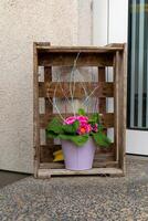 a flower pot as decoration in a wooden box photo