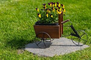 a tricycle decoration as a flower pot in a garden photo