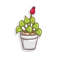 Home plant cartoon style. potted plant isolated on white vector