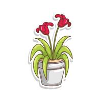 Home plant cartoon style. potted plant isolated on white vector