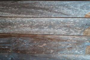 Old wooden floor board background. photo