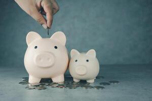 Hand putting a coin into a piggy bank to save for future growth and financial freedom. photo