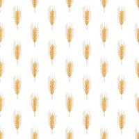 Seamless pattern with wheat doodle for decorative print, wrapping paper, greeting cards, wallpaper and fabric vector