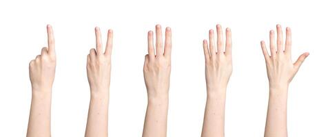 Hand counting, fingers showing digits, numbers from one to five, isolated on white background photo