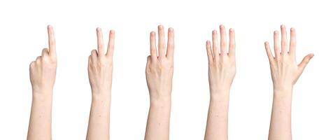 Hand counting, fingers showing digits, numbers from one to five, isolated on white background photo