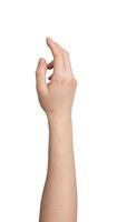 Caucasian woman s hand showing gesture. Empty palm, blank sign, symbol of communication. Isolated photo
