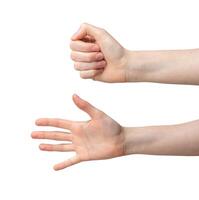 Open and closed fist, palm gestures. Hand showing signs, clenched fingers, empty space for symbol. photo