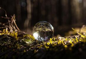 Crystal glass transparent ball, sphere on moss, green grass, sunlight. Ecology and nature concept photo