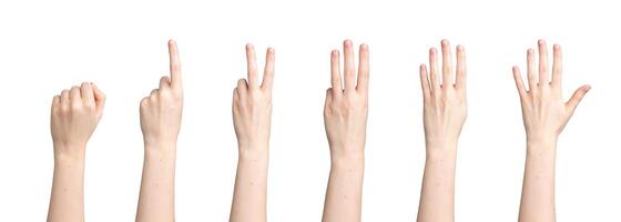 Hand count, fingers showing digits, numbers from zero, one two three four fist to five photo