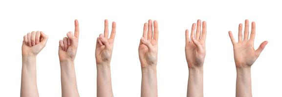 Fingers counting from zero, one, two, three, four to five numbers, hand gesture isolated on white photo