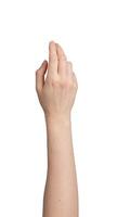 Female hand showing gesture. Caucasian woman holding empty palm, arm raised, wrist and fingers photo