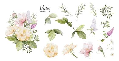 Set of watercolor bouquets with rose elements vector