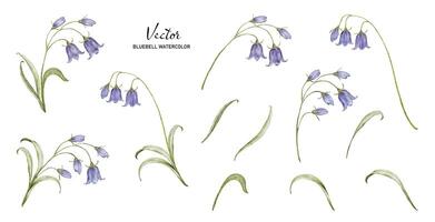 Set of watercolor bouquets with bluebell flower elements vector
