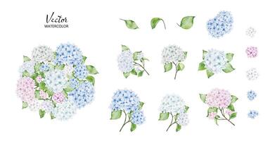 Set of watercolor Hydrangea bouquets vector