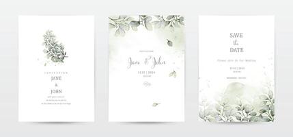 conjunto de invitación modelo tarjetas con botánico y acuarela manchas vector