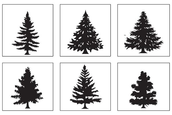 Christmas Tree Bundle
