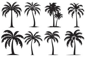 This set of detailed palm and coconut tree silhouette illustrations vector