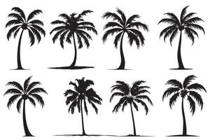 This set of detailed palm and coconut tree silhouette illustrations vector