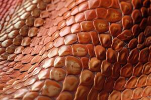 snake skin pattern High quality snake skin pattern. photo