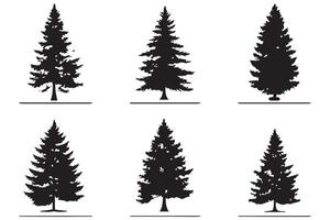 Navidad árbol ilustración haz vector