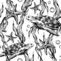 submarino mundo clipart con mar animales ballena, tortuga, pulpo, caballo de mar, estrella de mar, conchas, coral y algas. gráfico ilustración mano dibujado en negro tinta. sin costura modelo eps . vector