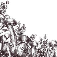 bosque hongos, boleto, rebozuelos y arándanos, arándanos rojos, leña menuda, conos, hojas. gráfico ilustración mano dibujado en negro tinta. marco, borde, modelo eps . vector