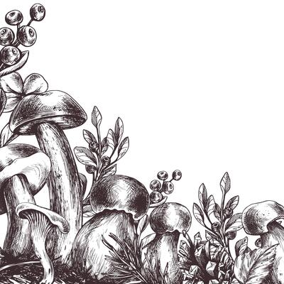 Forest mushrooms, boletus, chanterelles and blueberries, lingonberries, twigs, cones, leaves. Graphic illustration hand drawn in black ink. Frame, border, template EPS .