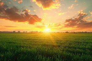 Bright sunset over green field. photo