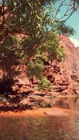 reflektion i Coloradofloden i grand canyon video