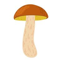 suillus seta. comestible hongo. mano dibujado de moda plano estilo aislado en blanco antecedentes. otoño bosque cosecha, sano orgánico alimento, vegetariano alimento. vector