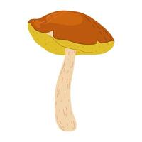Suillus mushroom. Edible fungus. Hand drawn trendy flat style isolated on white background. Autumn forest harvest, healthy organic food, vegetarian food. vector