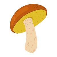 Suillus mushroom. Edible fungus. Hand drawn trendy flat style isolated on white background. Autumn forest harvest, healthy organic food, vegetarian food. vector